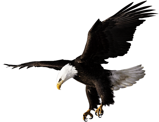 1600790133803193.png 20191203172106_59465.png